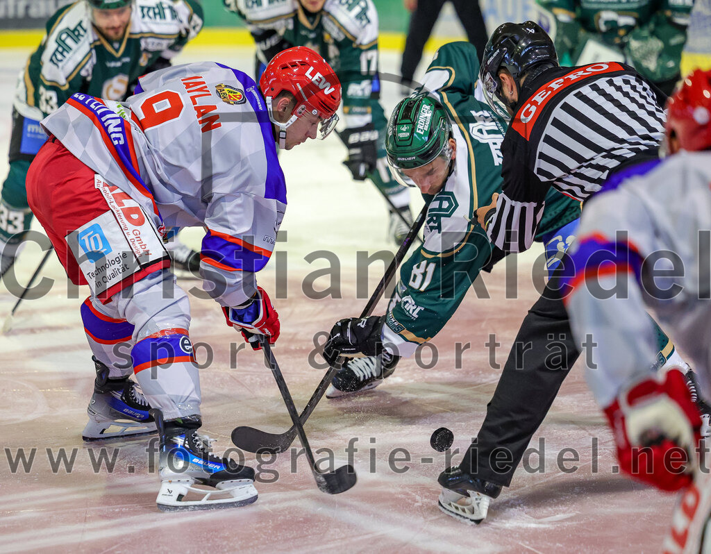 2025-09-14_030_TSV_Erding_gegen_EC_Peiting | Erding, Deutschland, 14.09.2025:Eishockey, Oberliga Süd 2025 / 2026, Testspiel, TSV Erding gegen EC Peiting, Endergebnis: 2:3Justin Maylan (EC Peiting, #9), Maximilian Forster (Erding Gladiators, #81)Foto: Christian Riedel / fotografie-riedel.net