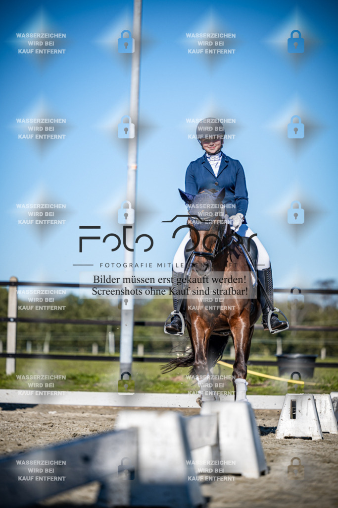 2026-09-Lohne-11-0032 | Entdecke hochwertige Reitturnierfotos von Foto Oger. Professionell, emotional und authentisch – jetzt Lieblingsmomente im Shop bestellen.Deutschlandweite Turnierfotografie. - Realisiert mit Pictrs.com