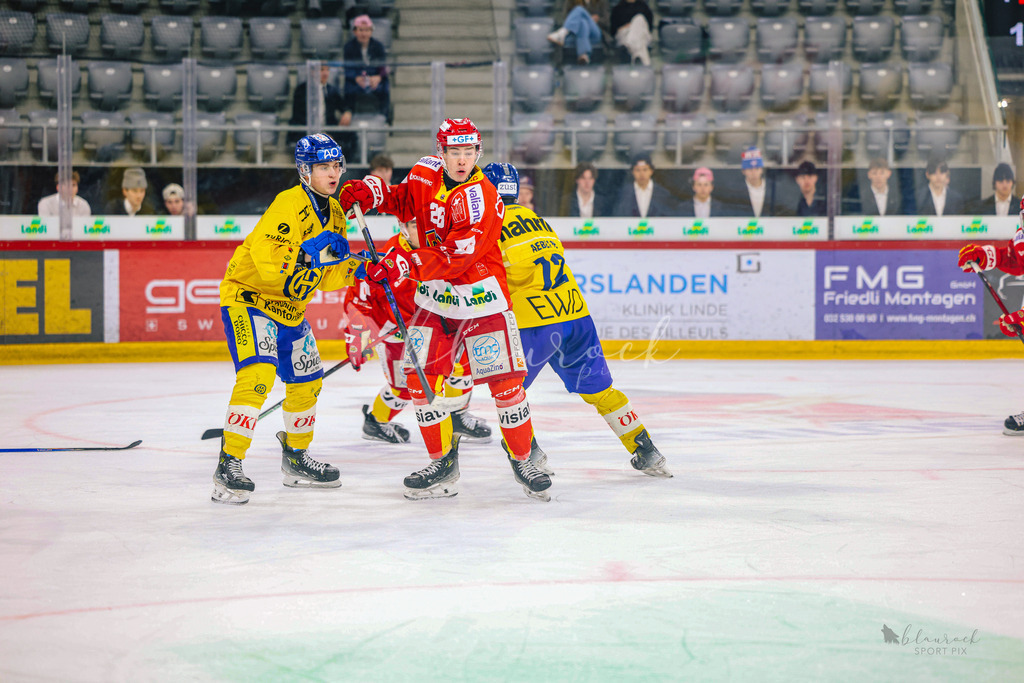 U21_EHCB vs HCD_wb20260308-0583 | Sportbilder, Sportfotograf, Hochzeits- und Eventfotografin, Flugshows, Portraits und Tiershooting, Aviation, Downhill, Nationalleague, Swissleague, International
