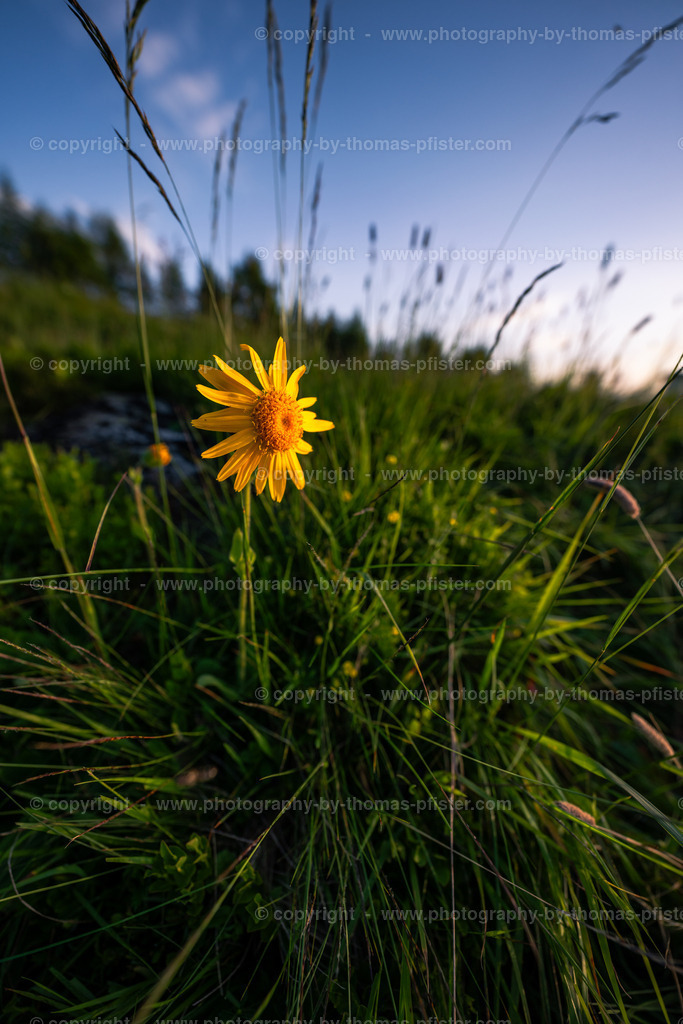Zillertal Höhenstrasse Sommer copyright  Thomas Pfister-2 | PHOTOGRAPHY BY THOMAS PFISTER