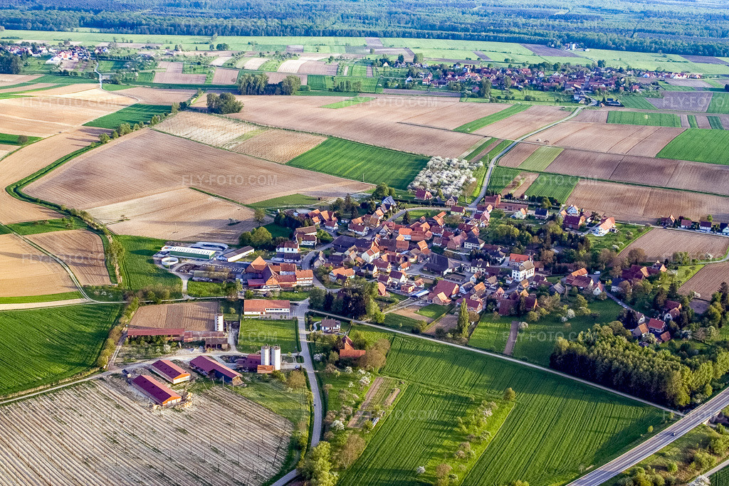 Aerial view: View of the town from the north in Betschdorf in the state Bas-Rhin, France.Photo: IMG_10646.jpg taken on 05/04/2008 by Werner Riehm/FLY-FOTO.comResolution of the original: 3456 x 2304 px