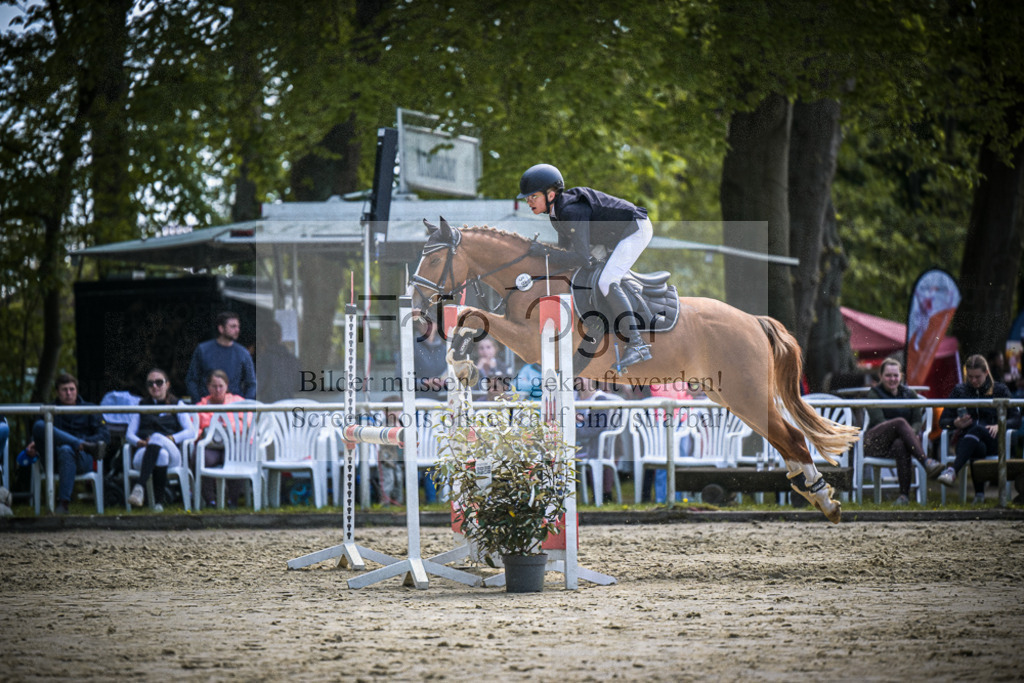 DOS_0129 | Entdecke hochwertige Reitturnierfotos von Foto Oger. Professionell, emotional und authentisch – jetzt Lieblingsmomente im Shop bestellen.Deutschlandweite Turnierfotografie. - Realisiert mit Pictrs.com