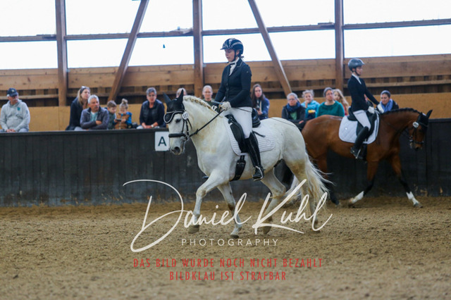 IMG_0509 | Turniersportfotografie; Pferdefotografie; Dressurfotografie