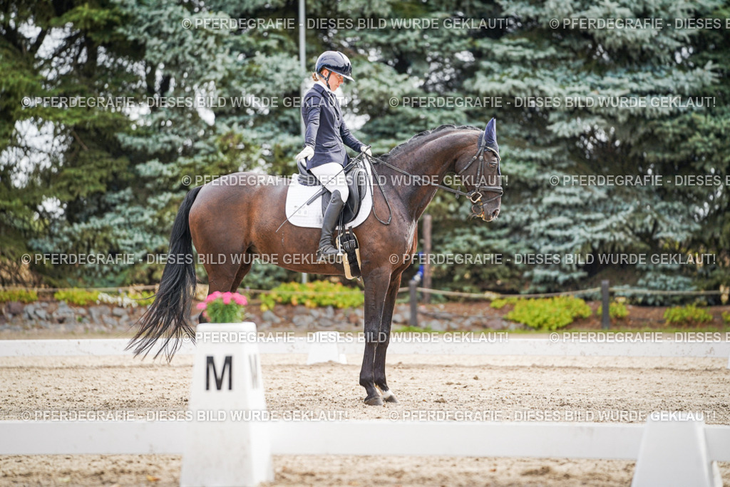 DSC01895 | Pferdegrafie