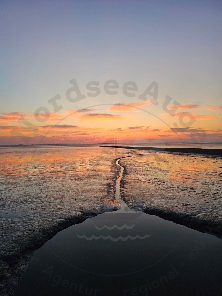 Nordsee Momente pur Nordseeküste Naturaufnahmen  | Nordsee in all ihrer Natürlichkeit  - Realisiert mit Pictrs.com