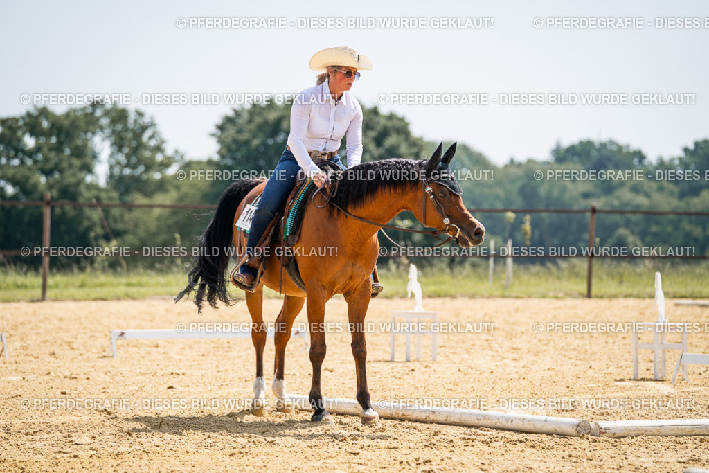 DSC00476 | Pferdegrafie