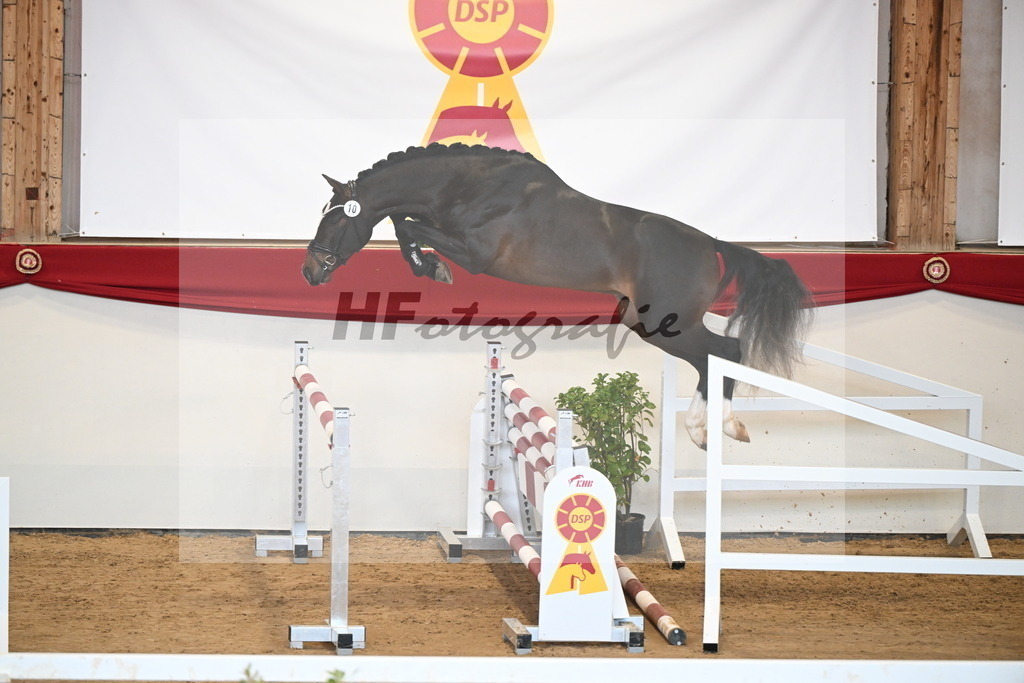 Kat.-Nr. 10 v. Chubakko_Ottmann_2251093 | hf-fotografie - Realizzato con Pictrs.com