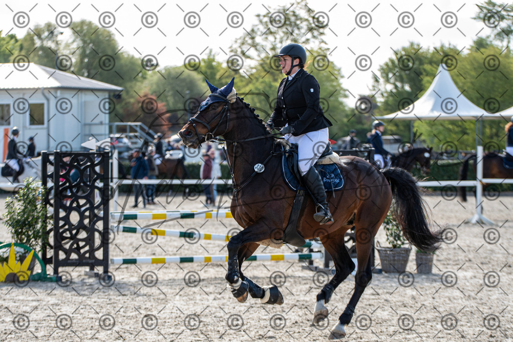 KPT_4462 | andre_photographic