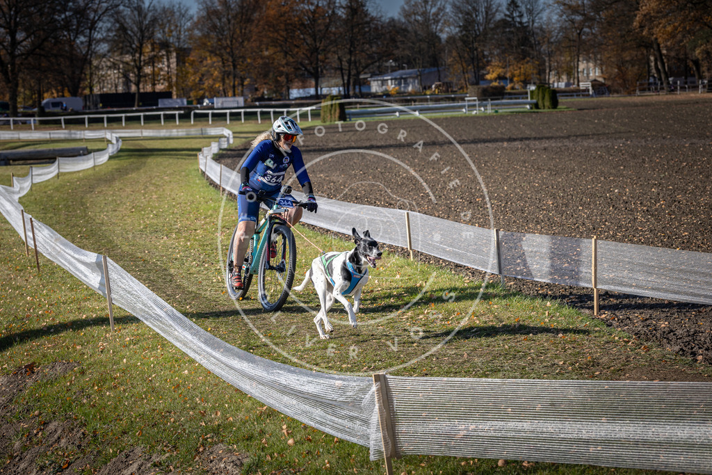 CaniXpix_DV3A7494 | Hundefotografie, Tierfotograf, Pfotenfotografie, Fotoshooting Hund, Hunde Portrait, Hundesport, Hundeportraits, Heideshooting, Hunde, Sportfotograf, Hundefotograf, Turnierhundsport, THS,  - Realisiert mit Pictrs.com