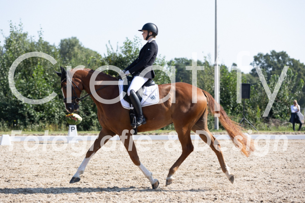 IMG_4317 | Creatify Fotografie