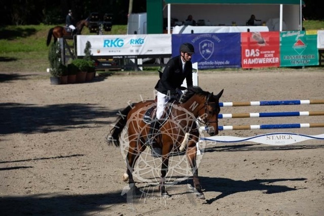 2B4A0407 | pixelfaenger - Realisiert mit Pictrs.com