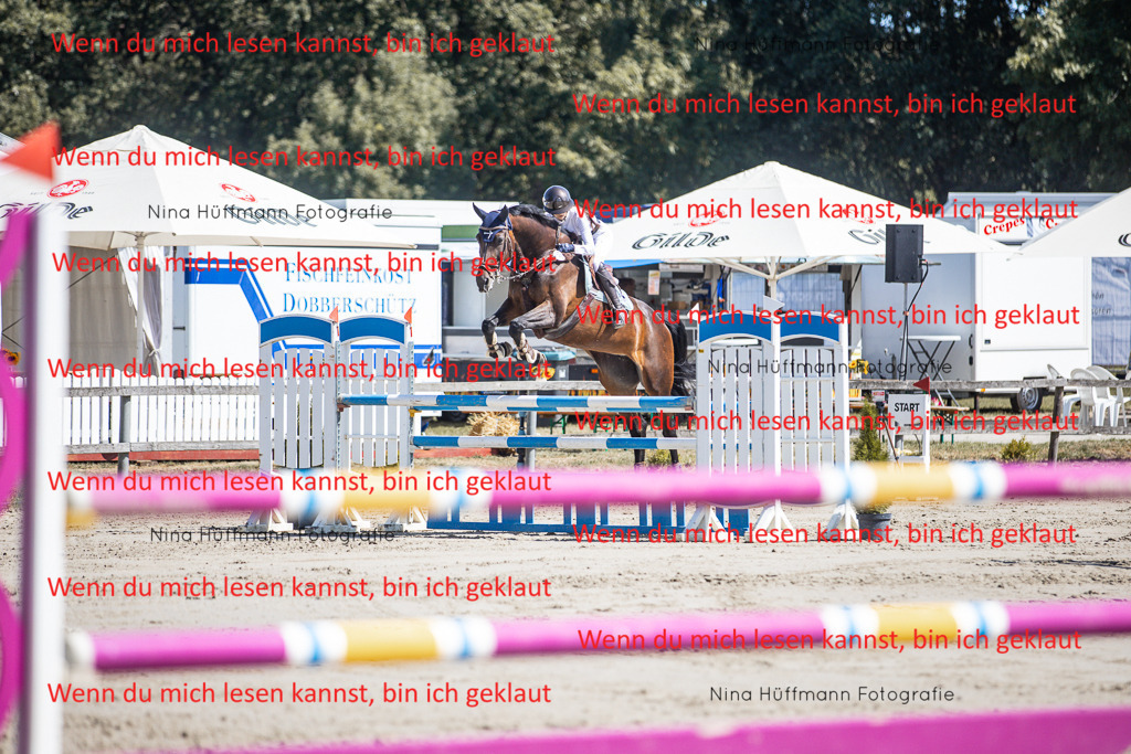 BK1A6664 | Turnierbilder Turnierfotos Nina Hüffmann Turnierfotografie Pferdefotografie Tierzeichnung Haustierzeichnung Pferdezeichnung Hundezeichnung Videograf  - Realisiert mit Pictrs.com