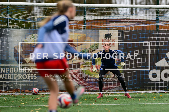 Fußball I Juniorinnen I Saison 2025-2026 I Regionalliga Nord I 7. Spieltag I Hamburger SV U17 - SpVg Aurich U17 I 01134 | Der Sportfotograf. - Realisiert mit Pictrs.com