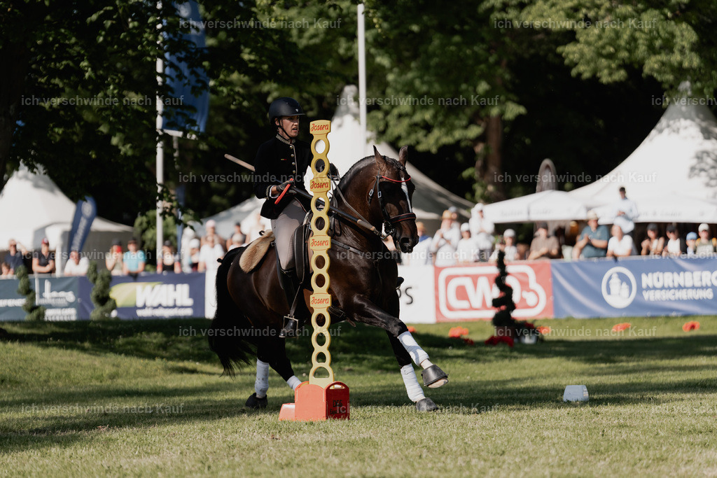 WE_MOS_Stoib_330_PI2025_2376 | Pferd International München 2025