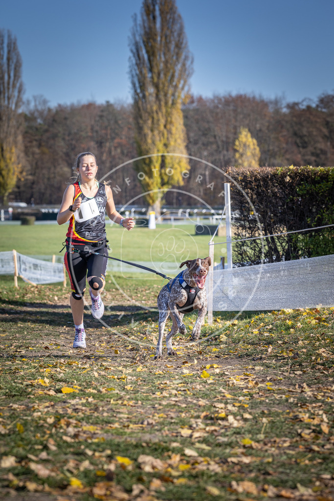 CaniXpix_DV3A9221 | Hundefotografie, Tierfotograf, Pfotenfotografie, Fotoshooting Hund, Hunde Portrait, Hundesport, Hundeportraits, Heideshooting, Hunde, Sportfotograf, Hundefotograf, Turnierhundsport, THS,  - Realisiert mit Pictrs.com