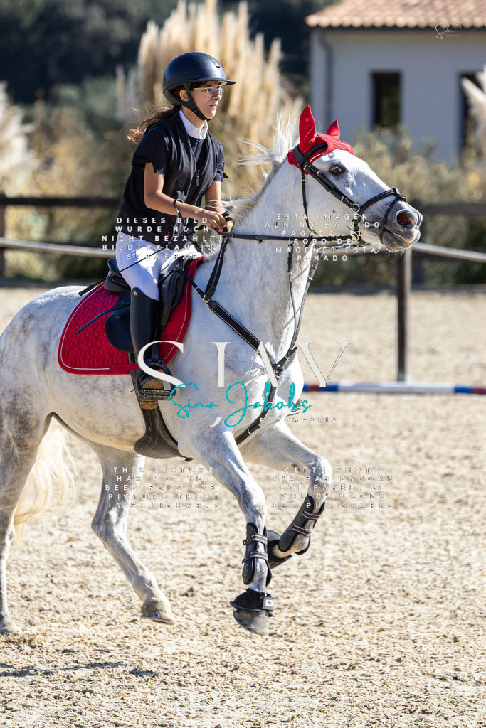 IMG_6477 | s-jay-photography - Realisiert mit Pictrs.com