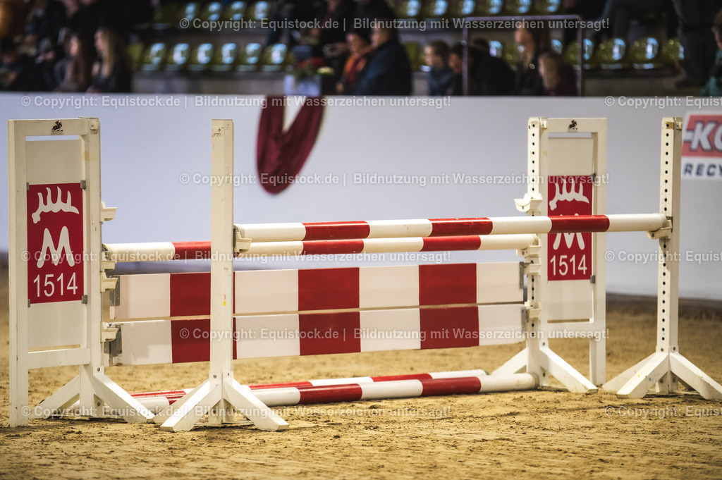 20240302_Hengstvorstellung_Marbach_TOMsPiC_0055-2 | equistock