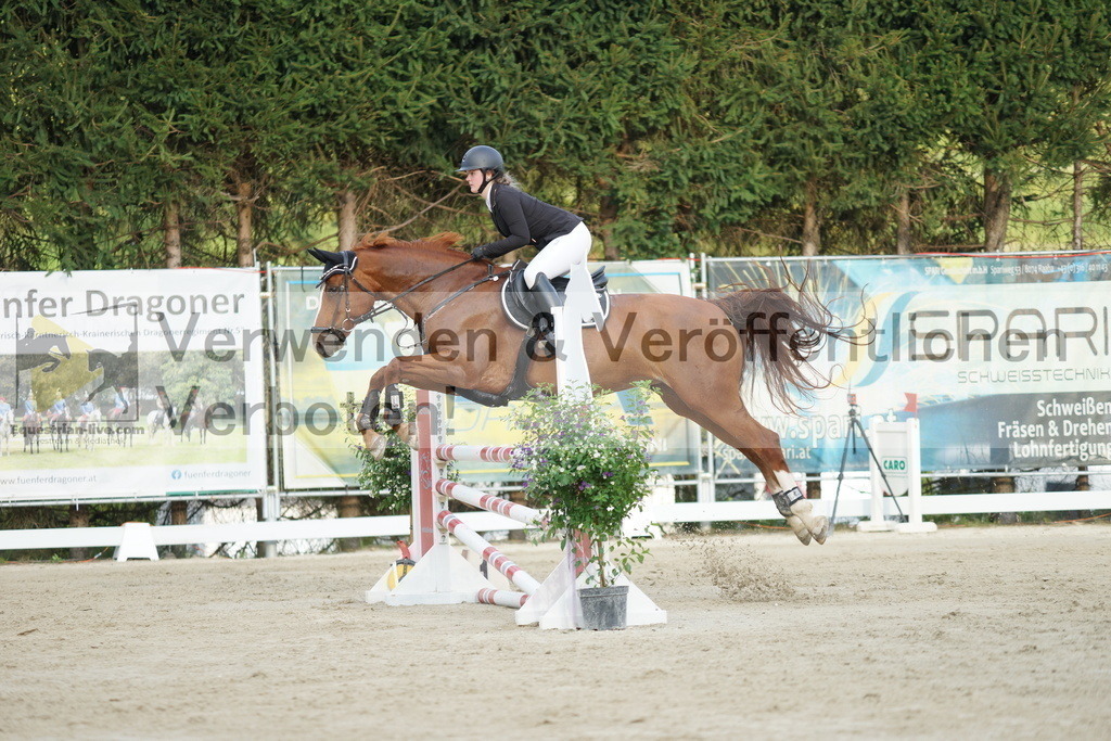 DSC01630 | equestrian-live-com