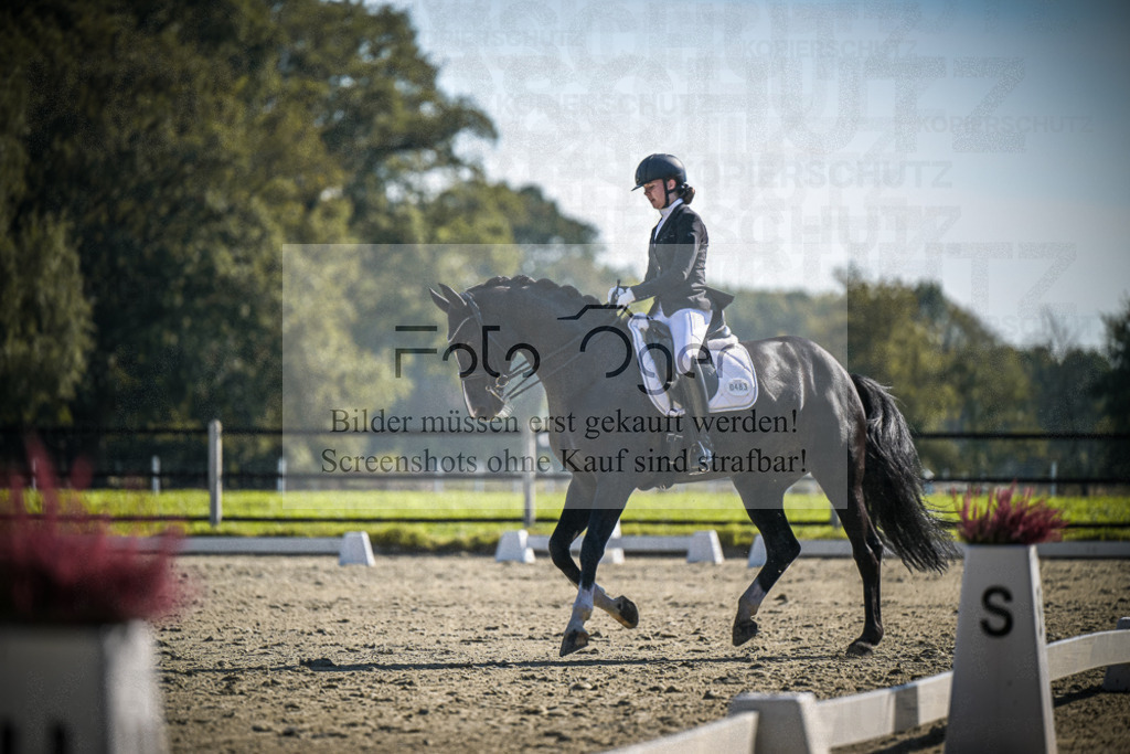 DOS_2325 | Entdecke hochwertige Reitturnierfotos von Foto Oger. Professionell, emotional und authentisch – jetzt Lieblingsmomente im Shop bestellen.Deutschlandweite Turnierfotografie. - Realisiert mit Pictrs.com