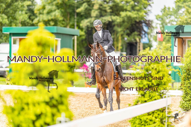 RPF 4 Filsum (175 von 535) | mandyhollmannphotographie