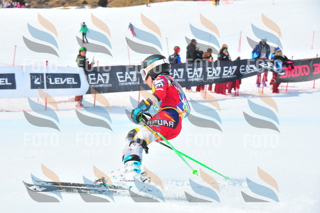 DSC_2932 | holidayphoto