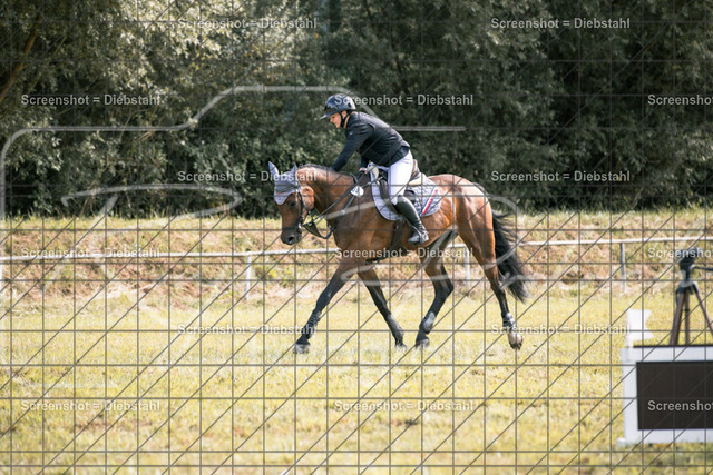 _W6A8506 | ronjaprokoschfotografie - Realisiert mit Pictrs.com