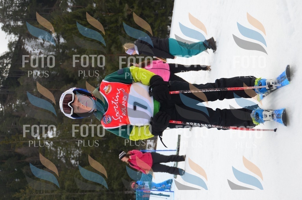 C1231 | holidayphoto