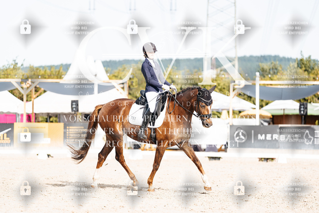 CK905158 | Turnierfotografie Pferdefotografie Trier Rheinland-Pfalz Pferdesport Reitsport Tierfotografie Sportfotografie Pferdevideo Pferdevideografie Equestrianvideography equestrianphotography  - Realisiert mit Pictrs.com