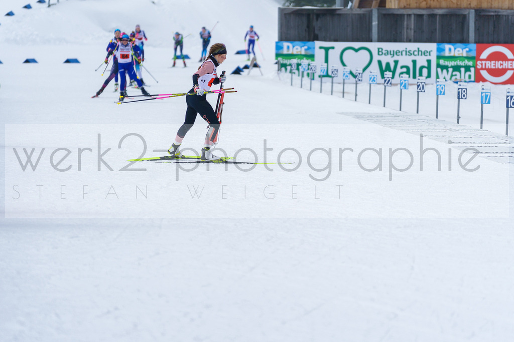 DSC Arber | Bayerischer Wald am 9. bis 12. Februar 2023
