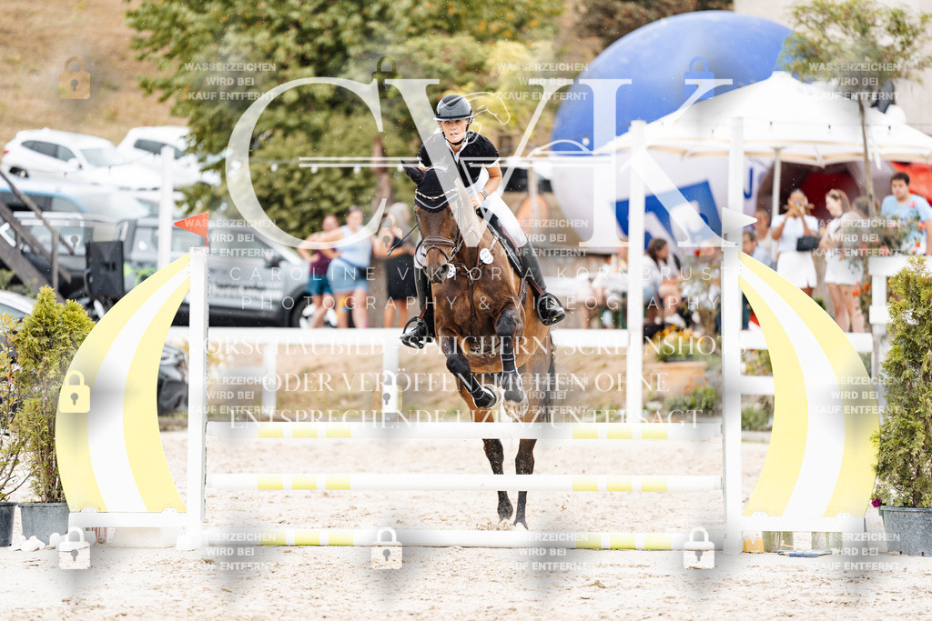 CK908491 | Turnierfotografie Pferdefotografie Trier Rheinland-Pfalz Pferdesport Reitsport Tierfotografie Sportfotografie Pferdevideo Pferdevideografie Equestrianvideography equestrianphotography  - Realisiert mit Pictrs.com