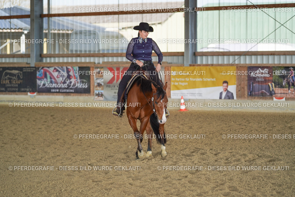 DSC09802 | Pferdegrafie