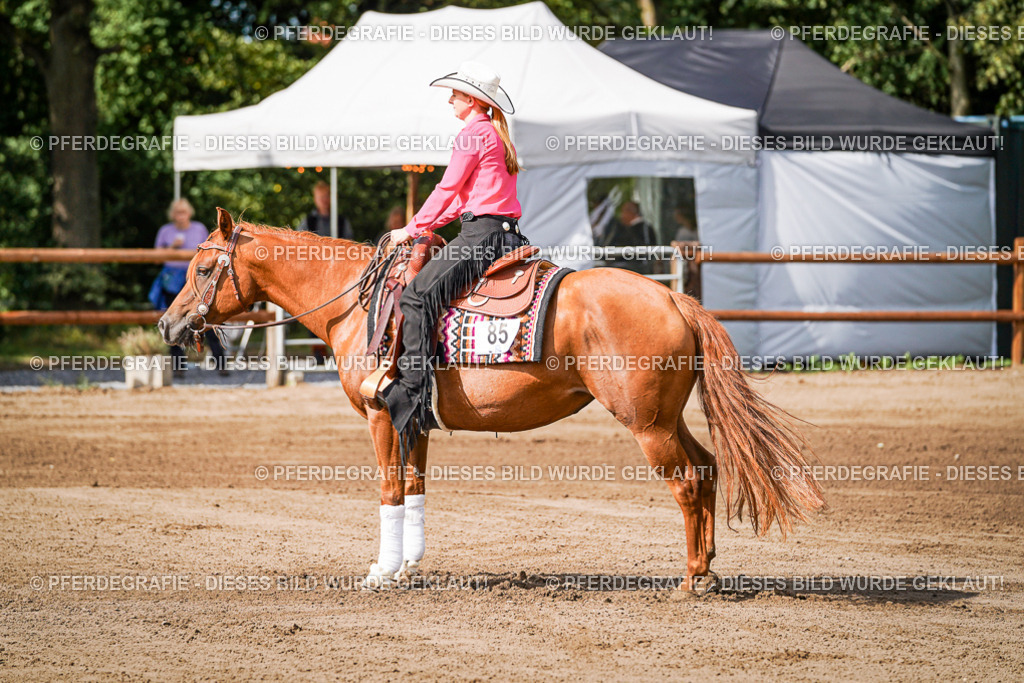 DSC09420 | Pferdegrafie