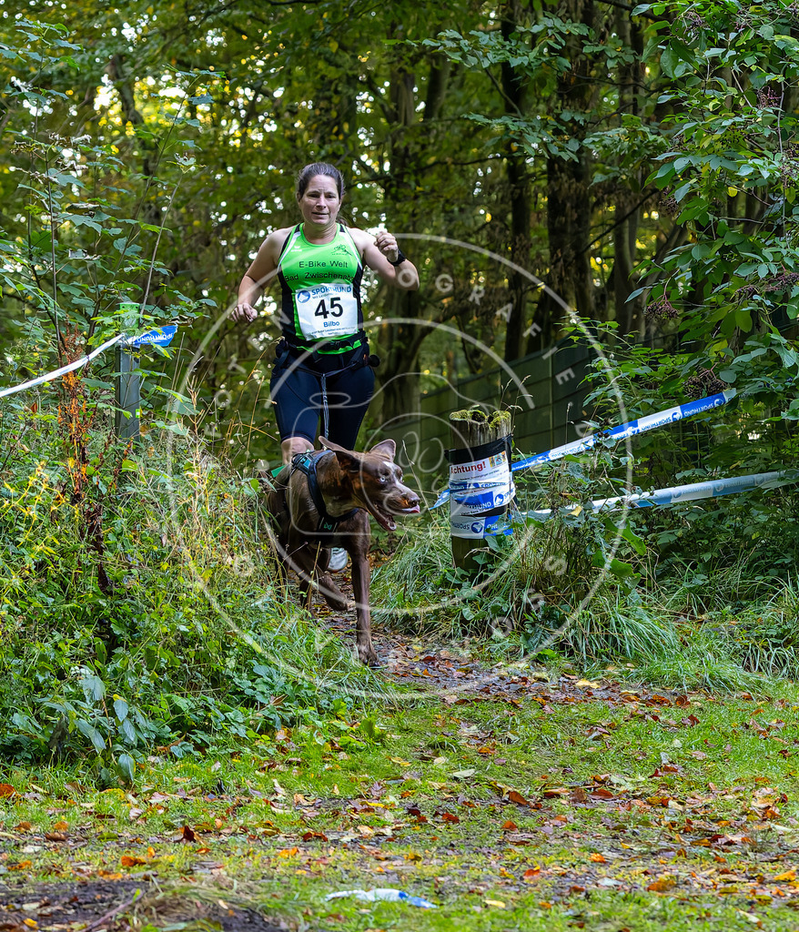 Pfotenfotografie_DV3A6894 | Hundefotografie, Tierfotograf, Pfotenfotografie, Fotoshooting Hund, Hunde Portrait, Hundesport, Hundeportraits, Heideshooting, Hunde, Sportfotograf, Hundefotograf, Turnierhundsport, THS,  - Realisiert mit Pictrs.com