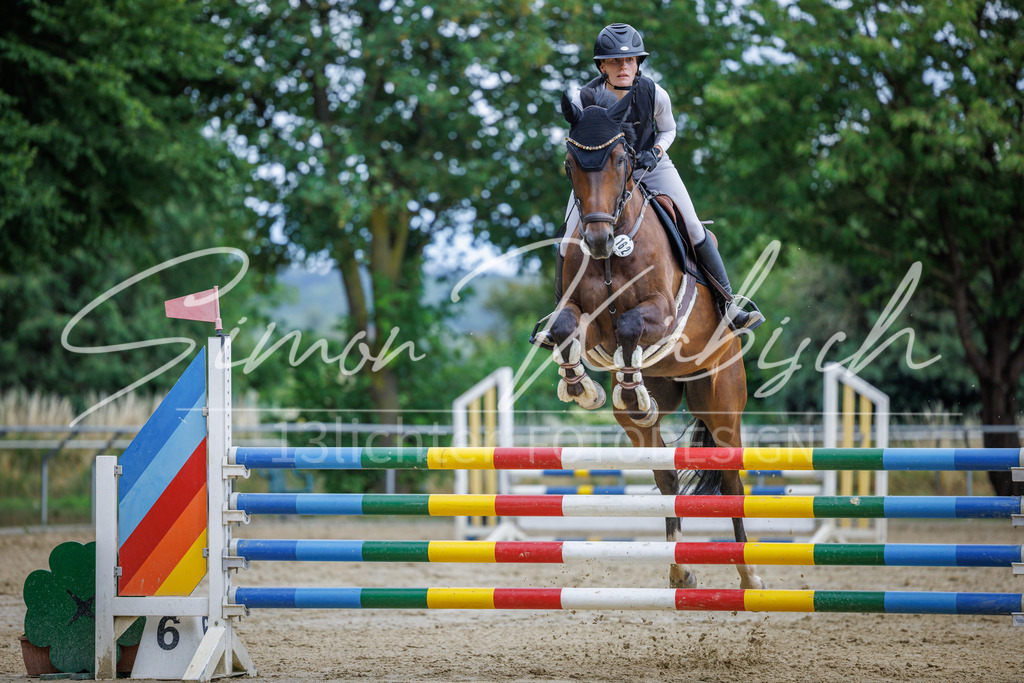 20260705-_3LI6001 | Tierfotografie Pferde, Hunde, Katzen, Haustiere.
Turnierfotografie Reitturniere, Reiten, Springreiten, Dressur in Hanau, dem Main-Kinzig-Kreis und dem Rhein-Main- Gebiet um Frankfurt
