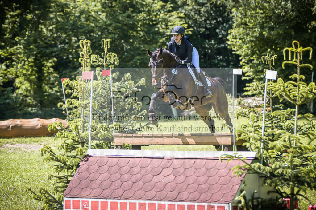 DOS_2756 | Entdecke hochwertige Reitturnierfotos von Foto Oger. Professionell, emotional und authentisch – jetzt Lieblingsmomente im Shop bestellen.Deutschlandweite Turnierfotografie. - Realisiert mit Pictrs.com