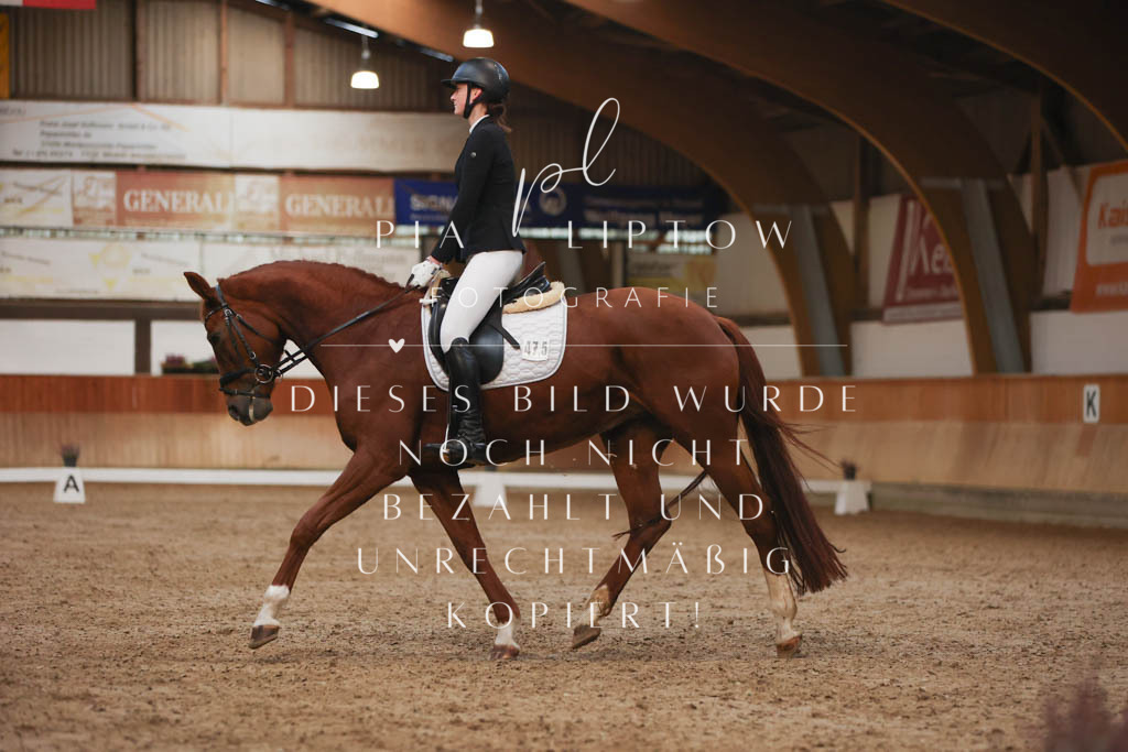 IMGM2259 | pl-fotografie