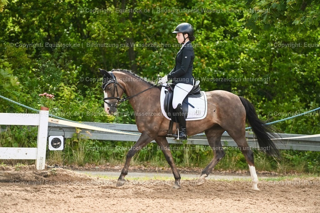 20230716_10-1_Reiter-WB Schritt - Trab - Galopp_0172 | equistock