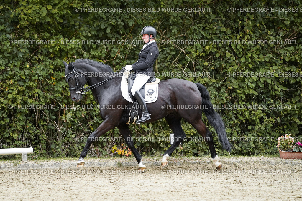 DSC02160 | Pferdegrafie