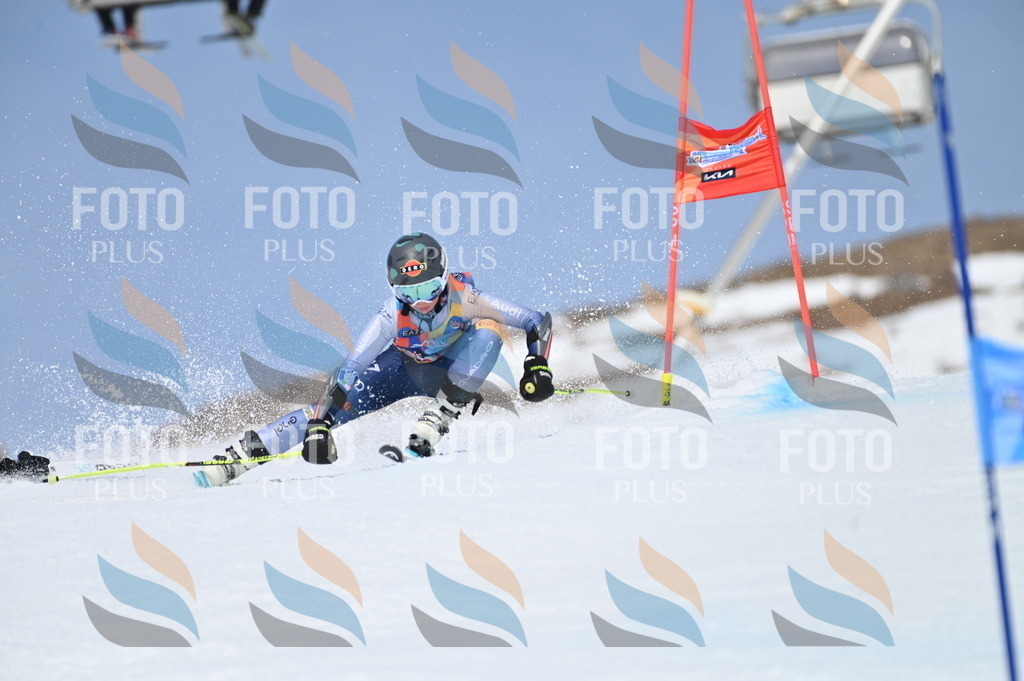 BGV_2821 | holidayphoto