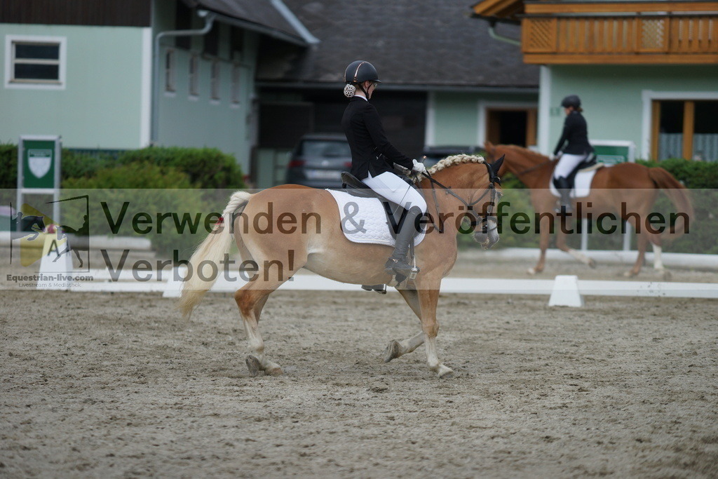 DSC05484 | equestrian-live-com