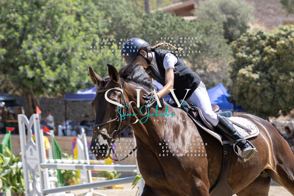 IMG_6008 | s-jay-photography - Realisiert mit Pictrs.com