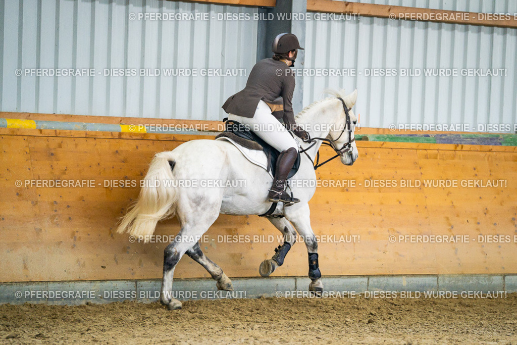 DSC00685 | Pferdegrafie