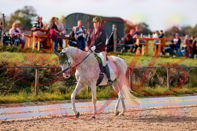2026_10_03_Siefer-Hof_122630_Z81_25784719 | Professionelle Reitsport-, Turnier- und Eventfotografie von Robert Broda. Galerien mit ausgewählten und bearbeiteten Bildern direkt online ansehen und bestellen.
