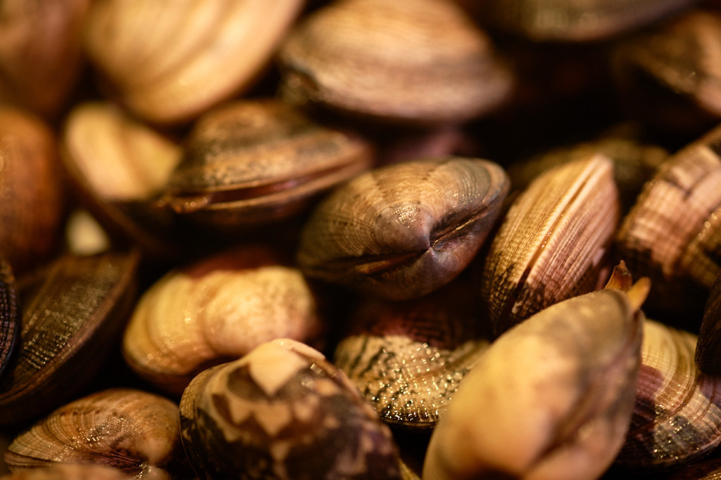 Muscheln | Alaró, Spanien - December 31, 2013: Muscheln. - Realisiert mit Pictrs.com