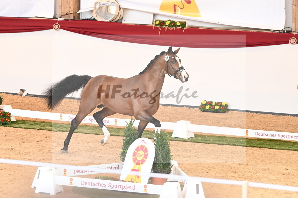 Kat.-Nr. 79 v. Valverde_Gaab_2241010 | hf-fotografie - Realizzato con Pictrs.com