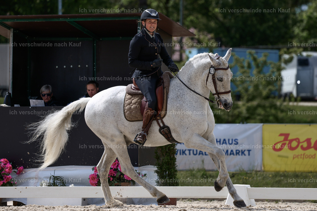 PI26_DR_246_Stoibphotography_C2_L7082A.jpg | working equitationturnier fotograf videograf stoibphotography marixx film working equitation deutschland reitsport turnierfotografie eventfotografie equestrian events