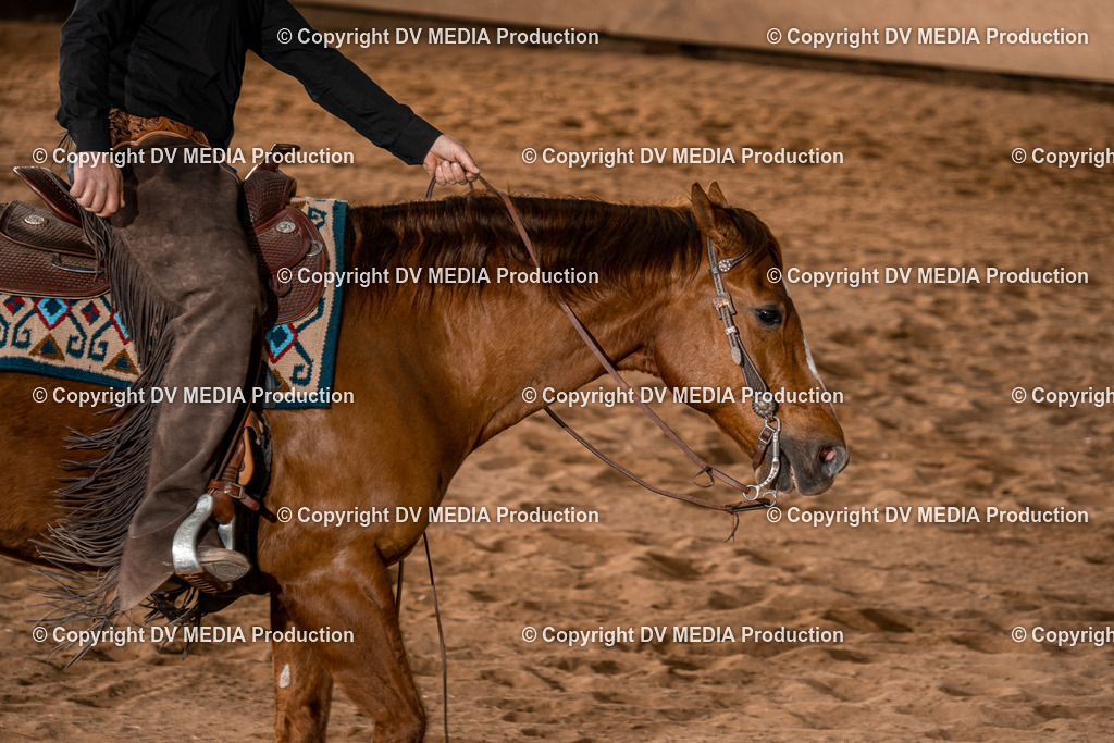 BA400815 | dv-media-shop - Realisiert mit Pictrs.com