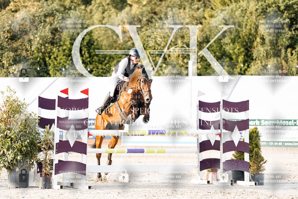 CK903582 | Turnierfotografie Pferdefotografie Trier Rheinland-Pfalz Pferdesport Reitsport Tierfotografie Sportfotografie Pferdevideo Pferdevideografie Equestrianvideography equestrianphotography  - Realisiert mit Pictrs.com