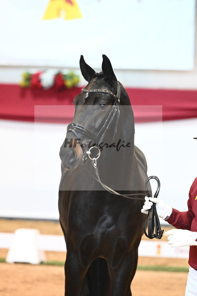Kat-Nr. 50 Swarovski x Fuerst Wilhelm_Zellhuber_43231842 | hf-fotografie - Realisiert mit Pictrs.com