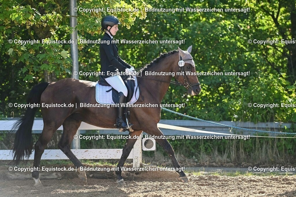 20230716_04_Dressurreiterprüfung Kl.A_0091 | equistock